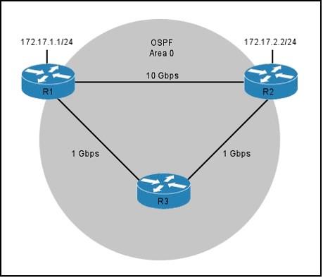 400-101-ccie-routing-and-switching-written-exam_img_239